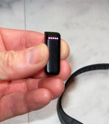The Fitbit Flex module itself (all display lights illuminated).