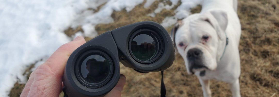 SZRSTH 12×25 Binoculars – Review